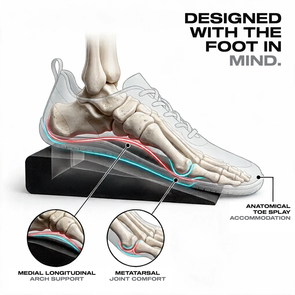 Cutaway illustration of a foot skeleton inside a shoe resting on the Motion Molds squat wedge, headed Designed With The Foot In Mind, with callouts for medial longitudinal arch support, metatarsal joint comfort and anatomical toe splay accommodation